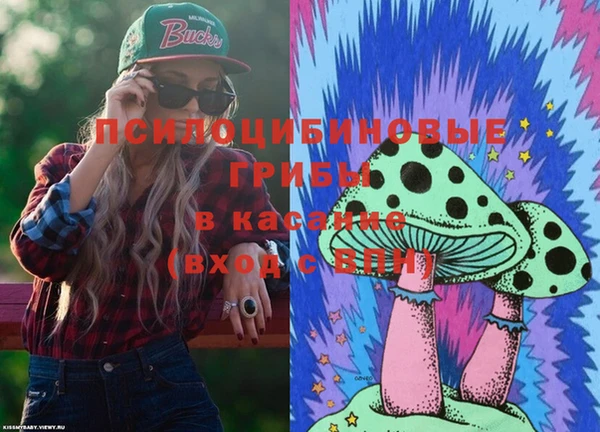 гидропоника Елабуга