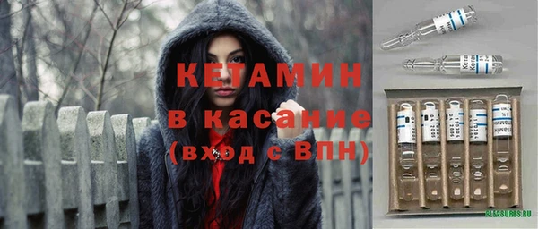 бошки Дмитров
