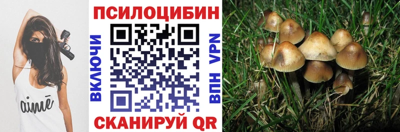 Галлюциногенные грибы мухоморы  Емва 
